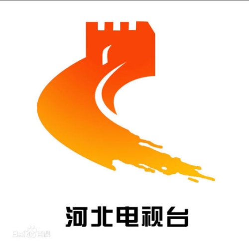 【河北省電視臺(tái)】和【協(xié)作促進(jìn)會(huì)】鄭會(huì)長(zhǎng)來公司考察