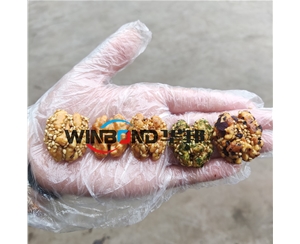 口碑好核桃仁去皮機 華邦機械 自動核桃仁去皮機器