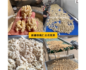 新疆核桃仁去皮機(jī) 任意品種核桃仁去皮設(shè)備 華邦堅(jiān)果仁去皮機(jī)