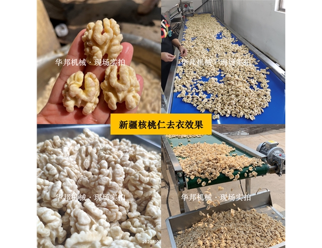 新疆核桃仁去皮機(jī) 任意品種核桃仁去皮設(shè)備 華邦堅(jiān)果仁去皮機(jī)