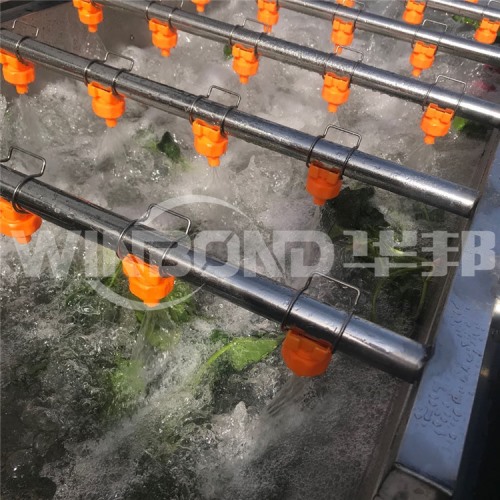 速凍蔬菜加工流水線 香菇漂燙機(jī) 廠家定制