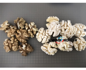 核桃仁深加工設(shè)備 純物理 核桃仁去皮機(jī)