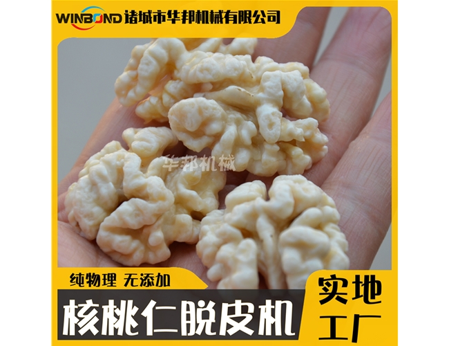 華邦核桃仁深加工設(shè)備 核桃仁去皮機(jī) 多味核桃仁設(shè)備